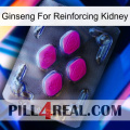 Ginseng For Reinforcing Kidney 02